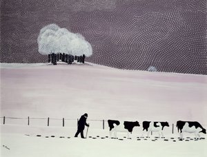 Køer i en snestorm